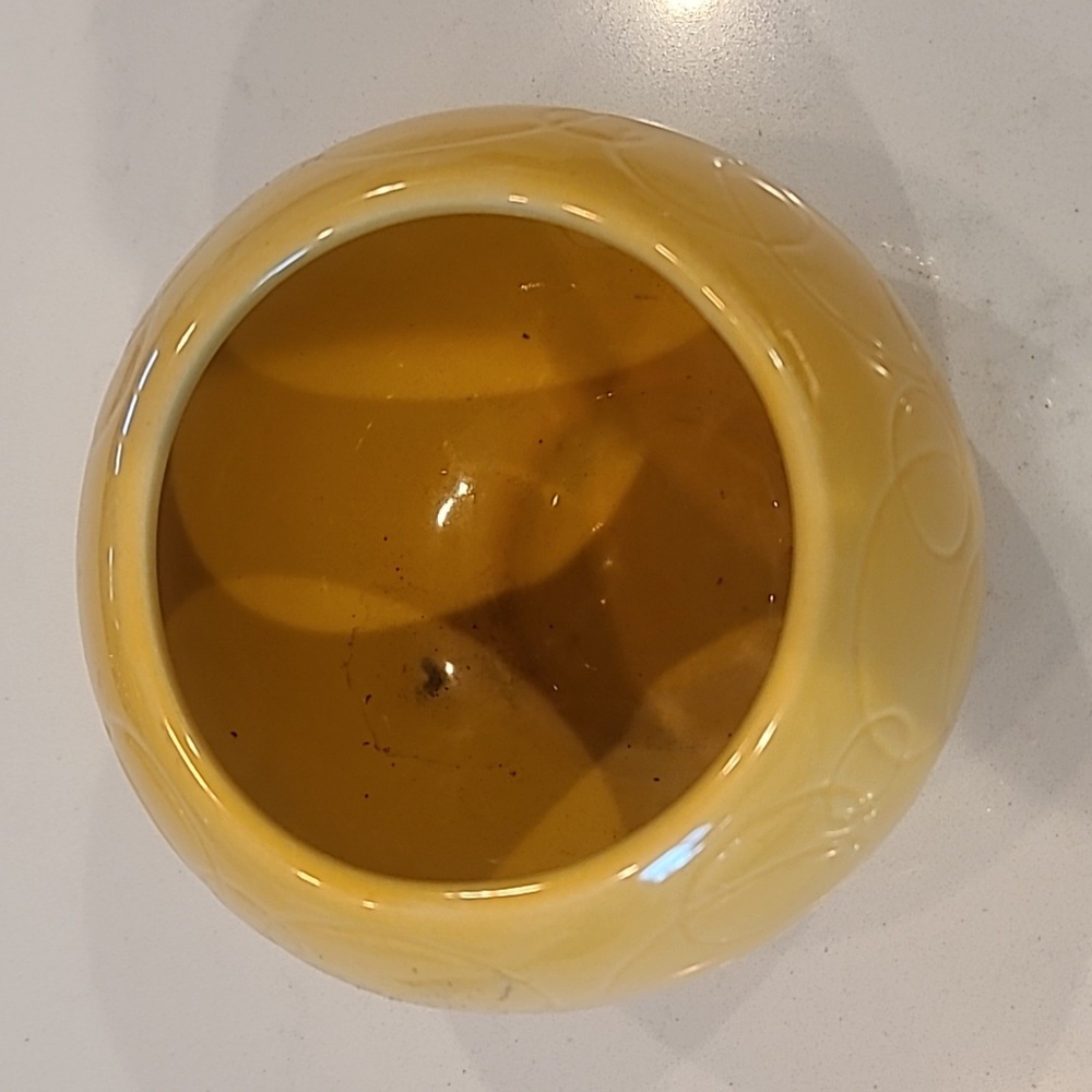 Buttercup Yellow Tilted  Flower pot